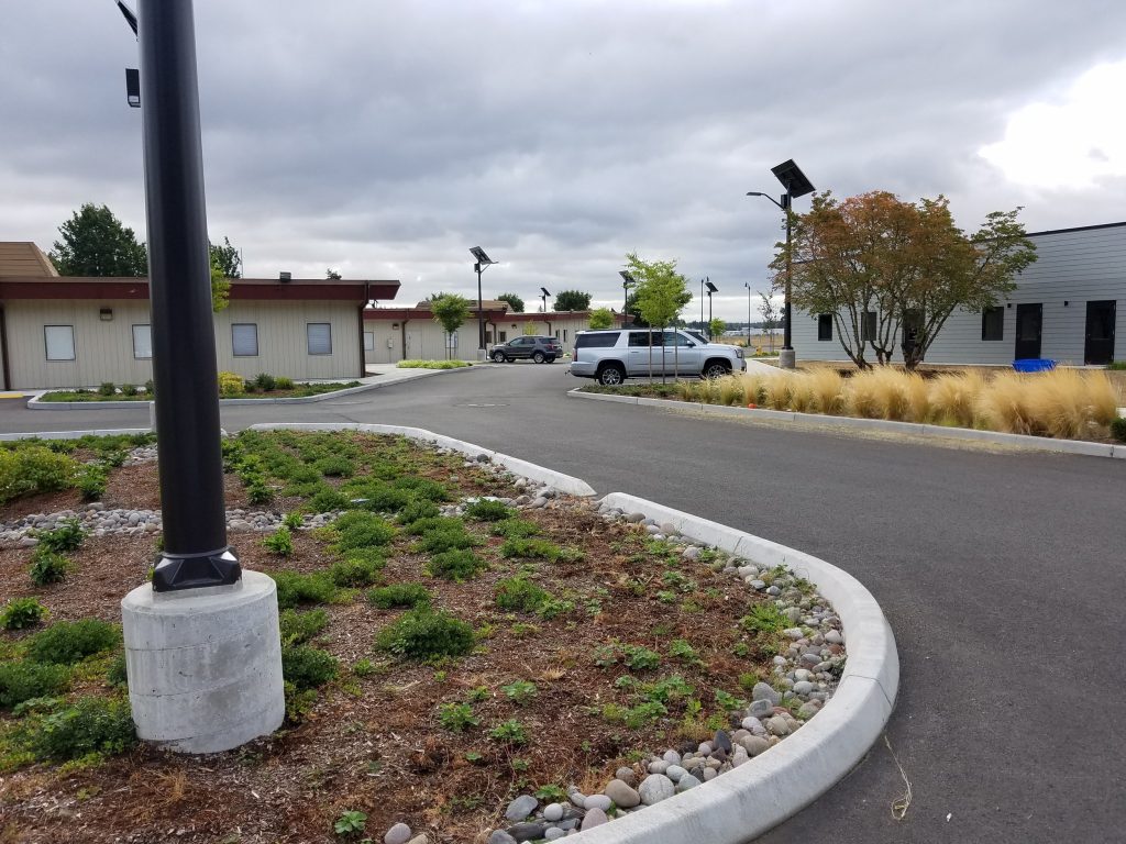 Cleanwater Centre Site Work in Tumwater, WA
