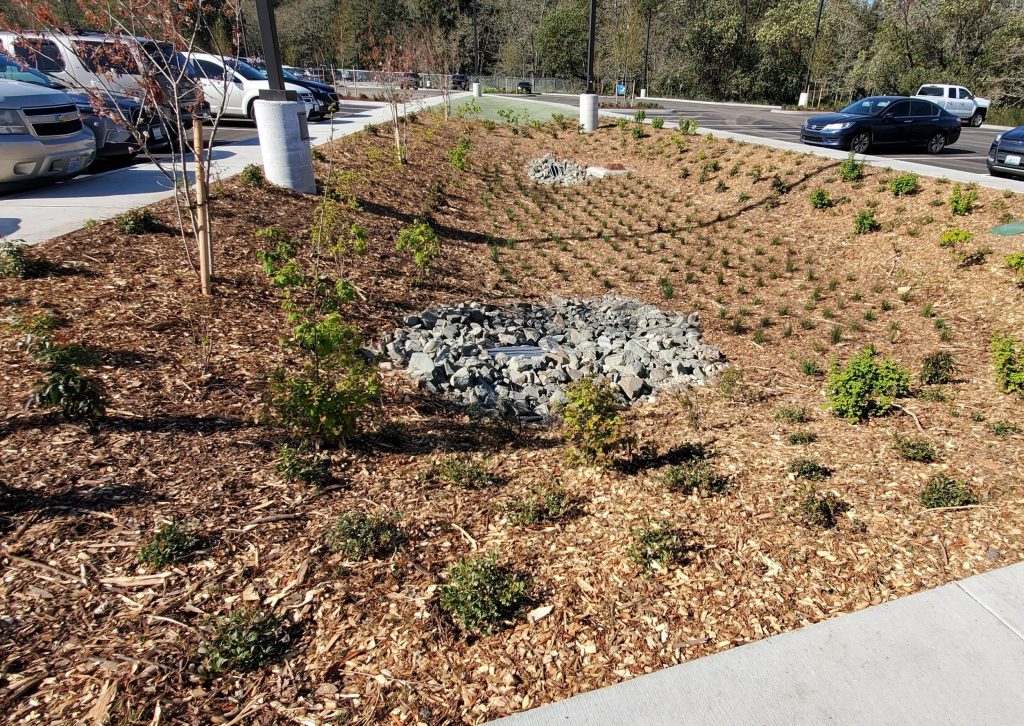 Western State Hospital – North Parking Lot Expansion in Lakewood, WA