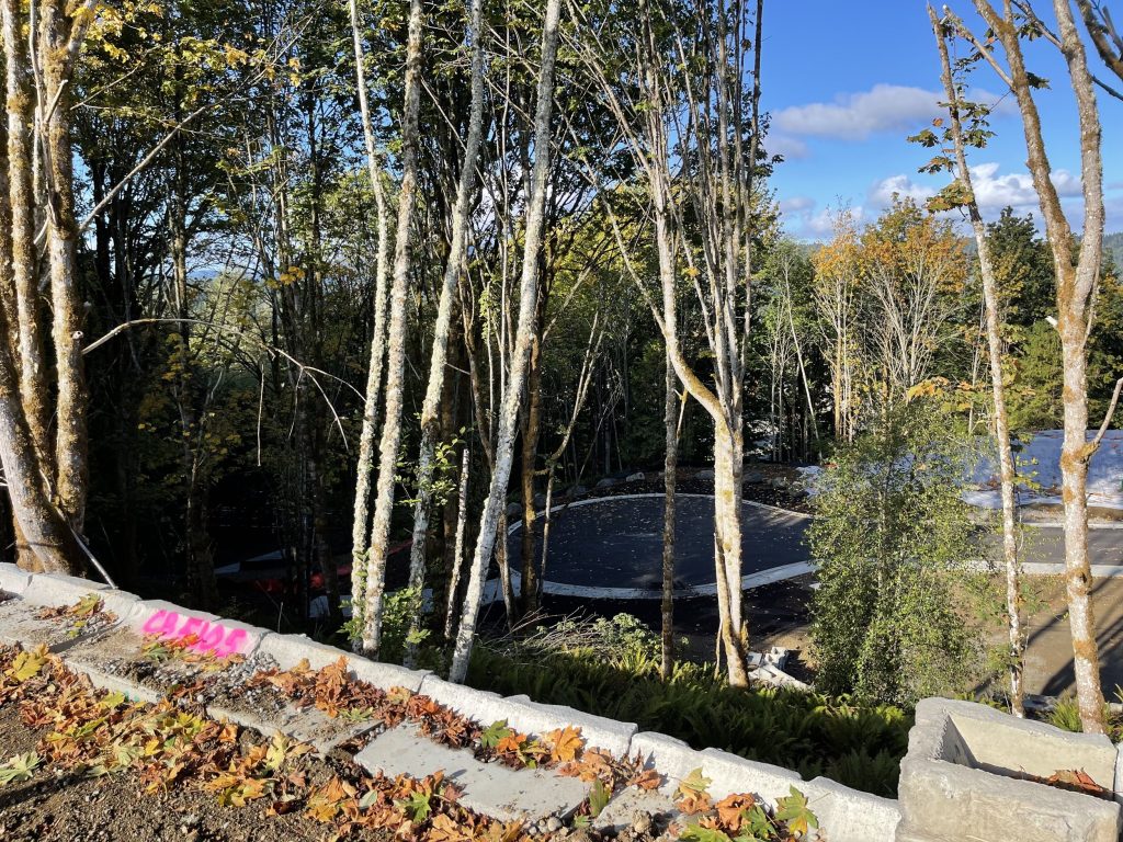 Forest Park Townhomes in Tumwater, WA
